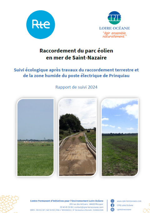 Couverture du rapport montrant les zones des travaux de raccordement