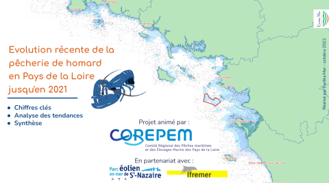 Couverture du rapport montrant la côte à proximité du parc éolien en mer de Saint-Naziaire et un homard bleu