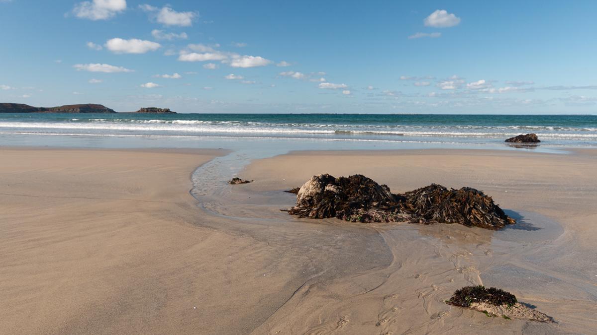 La plage des blancs sablons à marée basse © Laëtitia Beauverger / Office Français de la Biodiversité