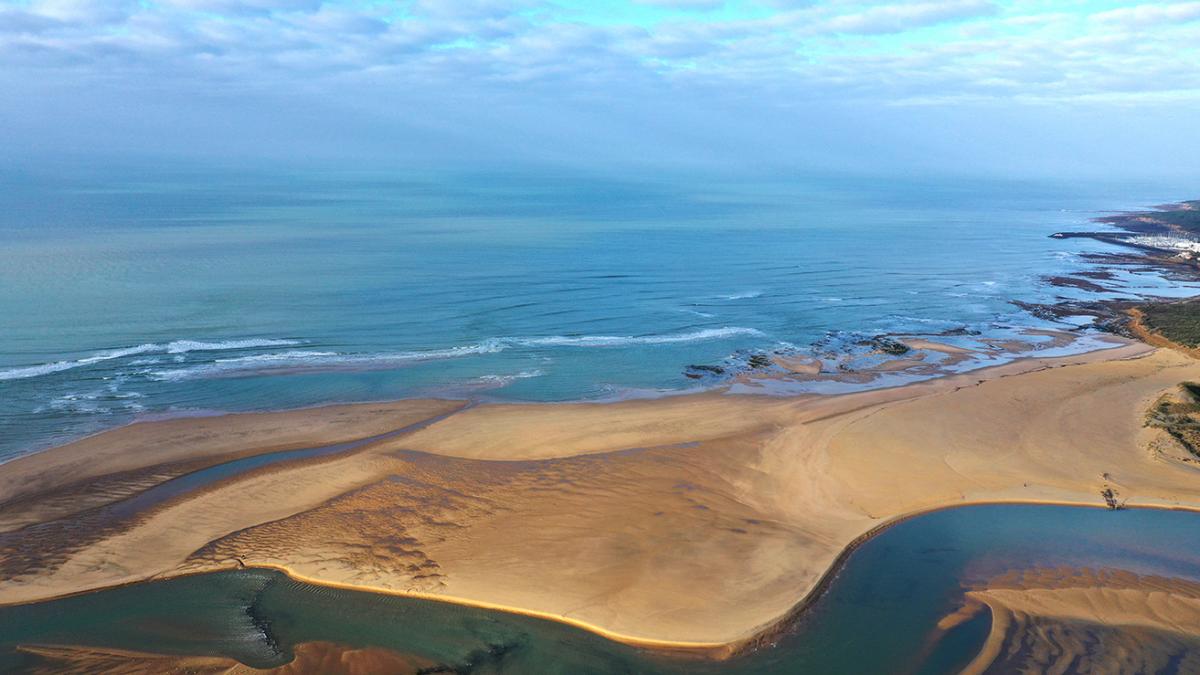 Banc de sable de l’estuaire du Payré © Olivier Roux / Office Français de la Biodiversité